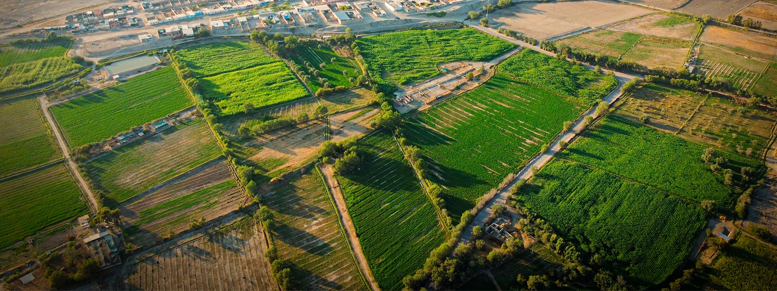 Imagen Sobre Nosotros